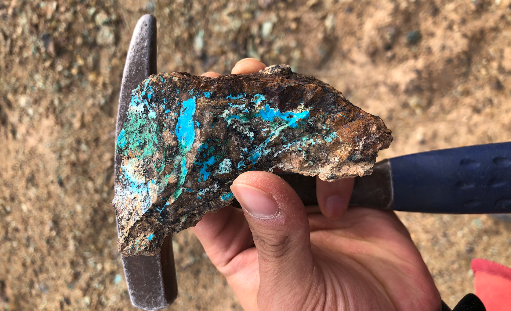 Fcf16a1306a7ef684d40412e8f5fe491